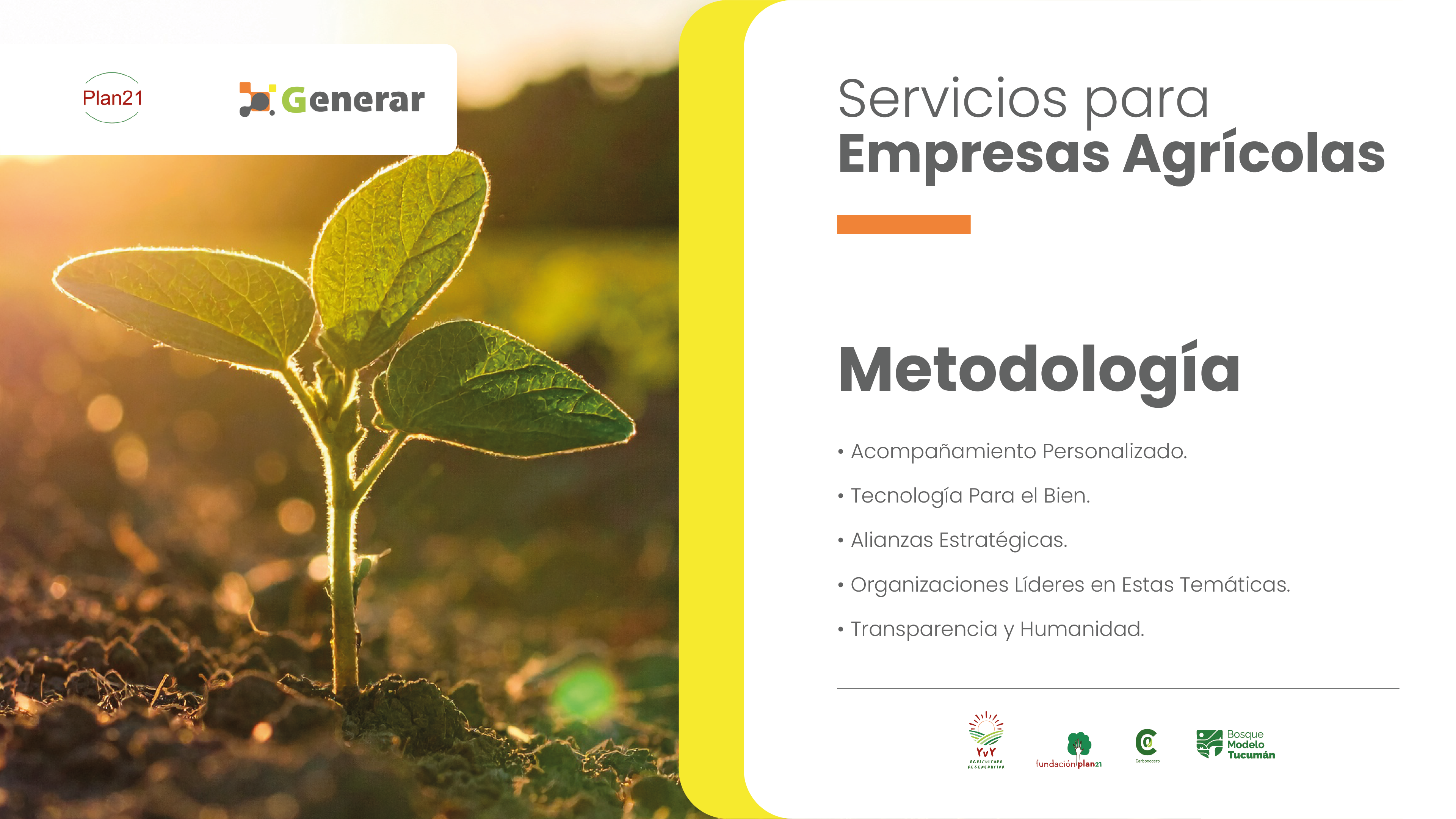 Impacto real: Mide y Compensa Tu Huella de Carbono 