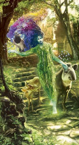 Bosque Modelo Tucumán